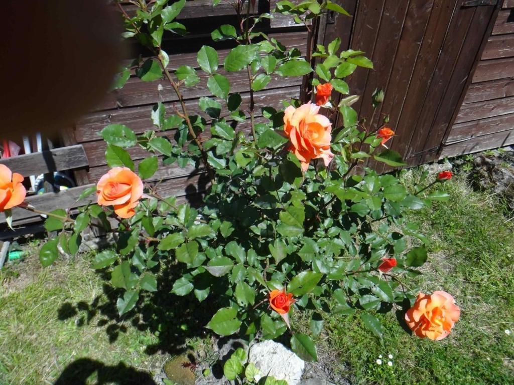 Chez Mamie Et Papi Bed & Breakfast Puynormand ภายนอก รูปภาพ